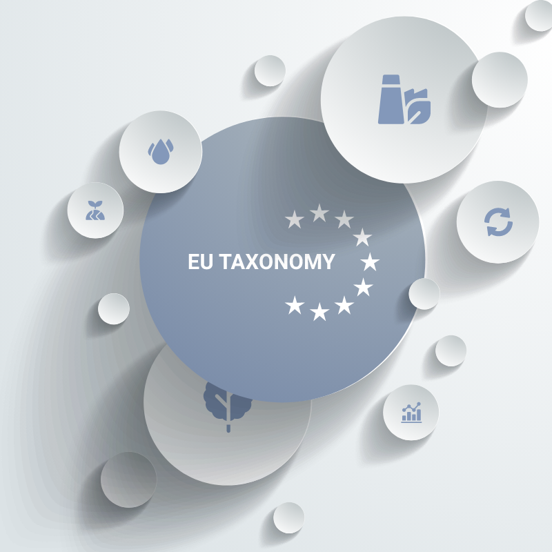 Climate Risk analysis and adaptation measures in EU Taxonomy